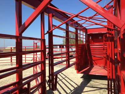 Titan OK Portable Corral Shown with a Horse Front