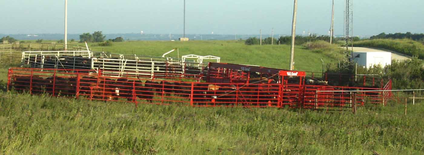 Titan West OK Corral, Portable Corral for Cattle