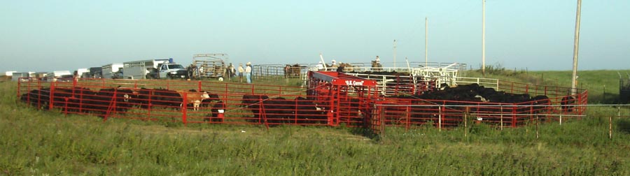 Titan West OK Corral, Portable Corral for Cattle