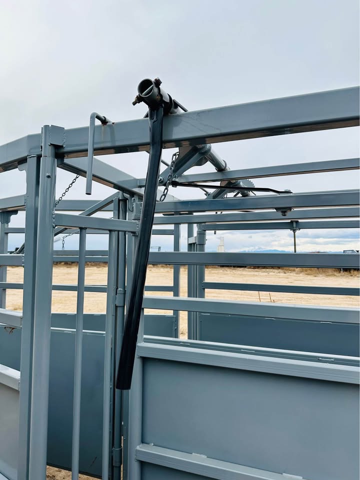 RR 19' Twin Alley for Cattle