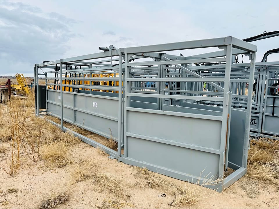 RR 19' Twin Alley for Cattle