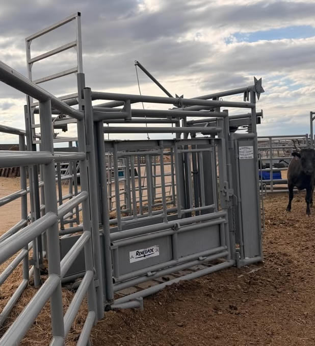 Used Renegade Star Single Side Exit Cattle Squeeze Chute