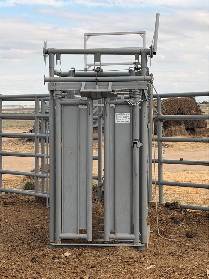 Used Renegade Star Single Side Exit Cattle Squeeze Chute