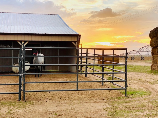 WW Chaparral Panel Redneck Panel and G4 Horse Stalls