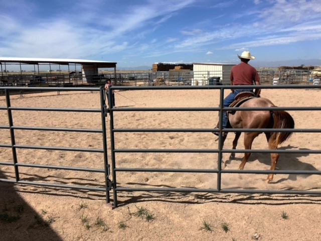 W-W Chaparral Round Pen