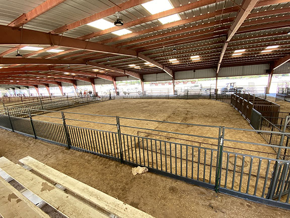 WW Show Ring Panels Custom made 6' Tall and with Sheeting on the Bottom to Keep in the Shavings