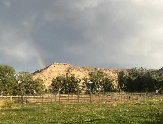 Shining C LLC 150' x 250' WW Roping Arena