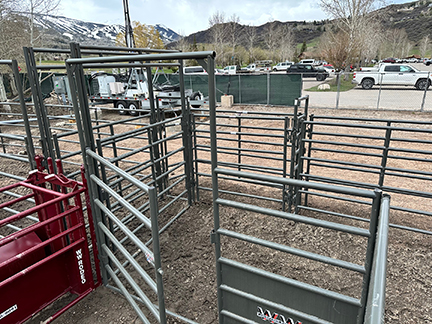 WW Rodeo Arena Roping Chute Lead Ups